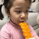 서울대입구역탕후루 판다 탕후루 포장 후기! 서울대탕후루