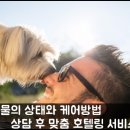 스타인호텔