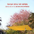 ♡ 공작산계곡 단풍캠핑 (2012.10.13~14, 강원 홍천 공작산계곡캠핑장) 이미지