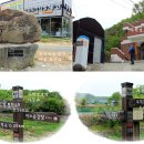 두척경로당 Daum카페