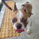 양포파출소 이미지