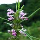 비로소, 겨울 하늘 이미지