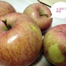 한남초교(병설유치원) 이미지