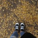 띠아모 펜션 이미지