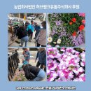 농업회사법인 허브 주식회사 이미지