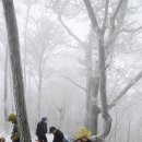 송년산행(인제 상남, 봉남1교→792.8m,1080m,가마봉,871.3m→고적교) 이미지