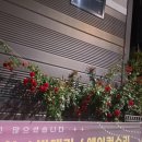 장미카센타 이미지