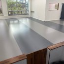 루루애견 이미지