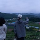 달빛하루 이미지