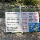 복돌이식당 | 대구 가창 맛집 : 계곡식당 느티골 백숙맛집추천 가족식사 몸보신 내돈내산 후기