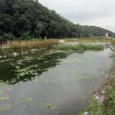 경안천 초부리 이미지