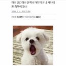 오작교할매추어탕 | 2박 3일 경상도, 전라도 가족여행 뿌수기 1 - 남원(할매추어탕, 광한루원)