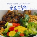 슬로우캘리양재포이점