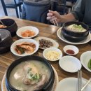 장안프라자 | 영종도 맛집 운서역 장안삼계탕에서 말복 데이트