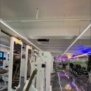 바디업휘트니스 이미지