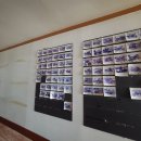 회령만두 이미지