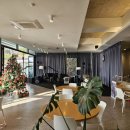 비고리조트 7 이미지