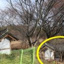 주수2리 이미지