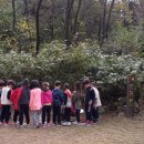 시립배곧호반2차어린이집 이미지