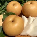 대성농원 이미지