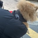 놀자꾸나 | [일상] 평생소원이 누룽지
