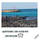 귀빈카서비스 | 제주전세버스 대절 기사포함 투어로 부모님과 여행 후기