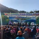 두촌면생활체육공원 이미지