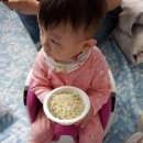 스펀지플러스마트 이미지