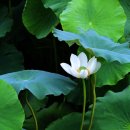 풍동가족한의원 이미지