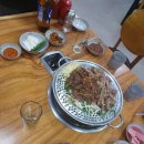 정왕흑염소 이미지