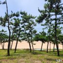 삼춘짬뽕