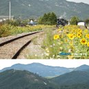 섬진강순환1 이미지