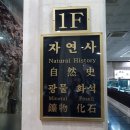 대진의료기 | 곳 #강원종합박물관 :: 볼거리가 너무 많아 정신력이 바닥나는 놀라운 박물관 관람후기, 뜻밖의 사진명당