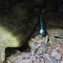 수원-1068 | 지리산 화대종주 46km 무박 산행 후기