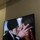 아가메농장