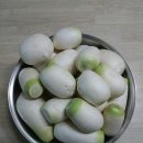 짠지네 이미지