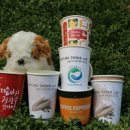 로엔그린 이미지