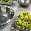 2024 함안 별별트립 4박5일 - 3일차