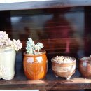 아낙사우나 이미지