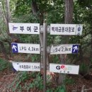 금동주유소 이미지