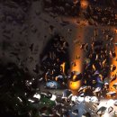 오늘도 미묘 이미지