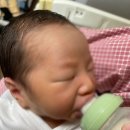 25.6 출산하고 조리원 갔다 집에 온 애둘맘 일상