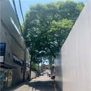 광화문발레핏앤자이로토닉