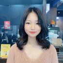 봄날애헤어 - 남구 남구 | 봄날애헤어