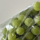 선이농장 이미지