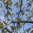 푸른식물병원 이미지