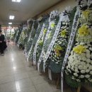 정담의전