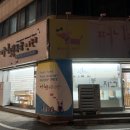 퍼니펫 애견 미용실 | 대전 강아지 중성화 잘하는 퍼니펫동물병원 두번째 수술(암컷/수술비용)