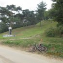 이일 장군 묘소 Daum카페