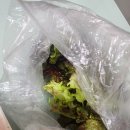 대왕족발옥계점 이미지